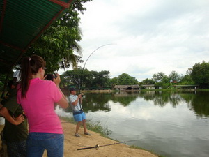 vissen mekong catfish in chiangmai