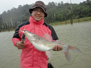 chiew lan fishing