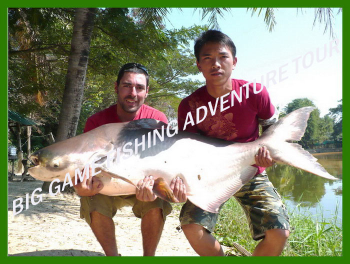 Mekong giant catfish fishing chiang mai