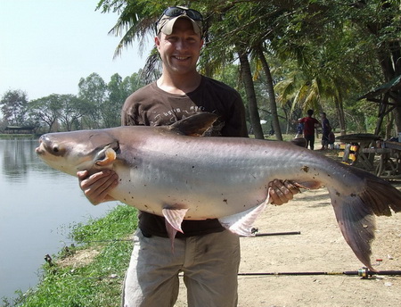 chiang mai fishing mekong catfish