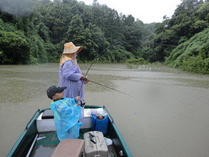 snakehead fishing lampang near chiang mai